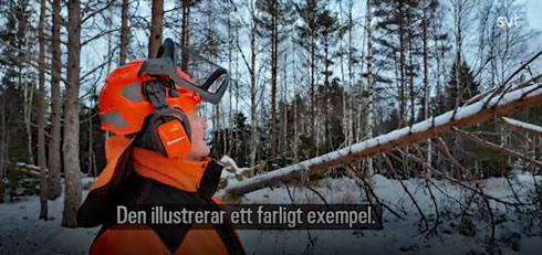 SVT Stormen Johannes